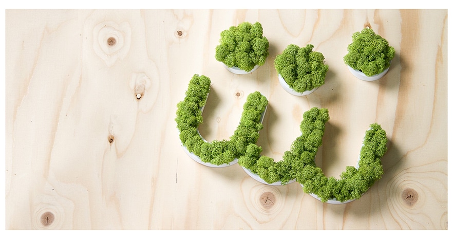 Letras de musgo vegetal