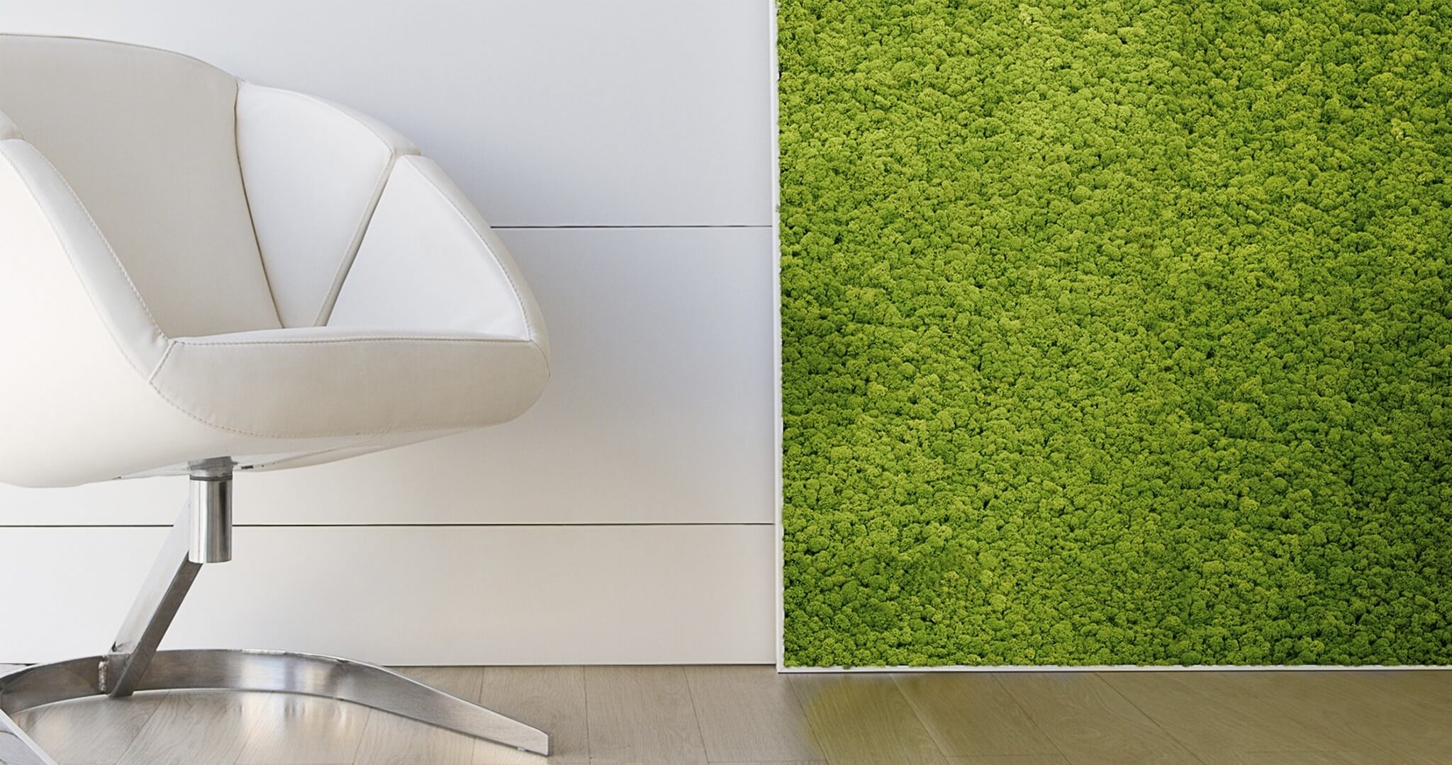 cuadros de creatividad vegetal