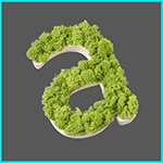 Letras de musgo y madera natural - Zona iluminada - Ninguna