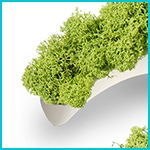 Letras musgo en PVC - Tipo de PVC - Blanco