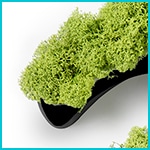 Letras musgo en PVC - Tipo de PVC - Negro