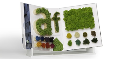 muestrario - letras de musgo