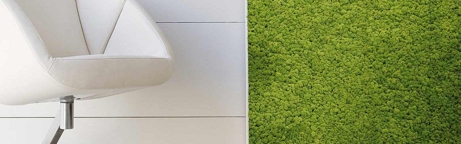 Cuadros de musgo preservado