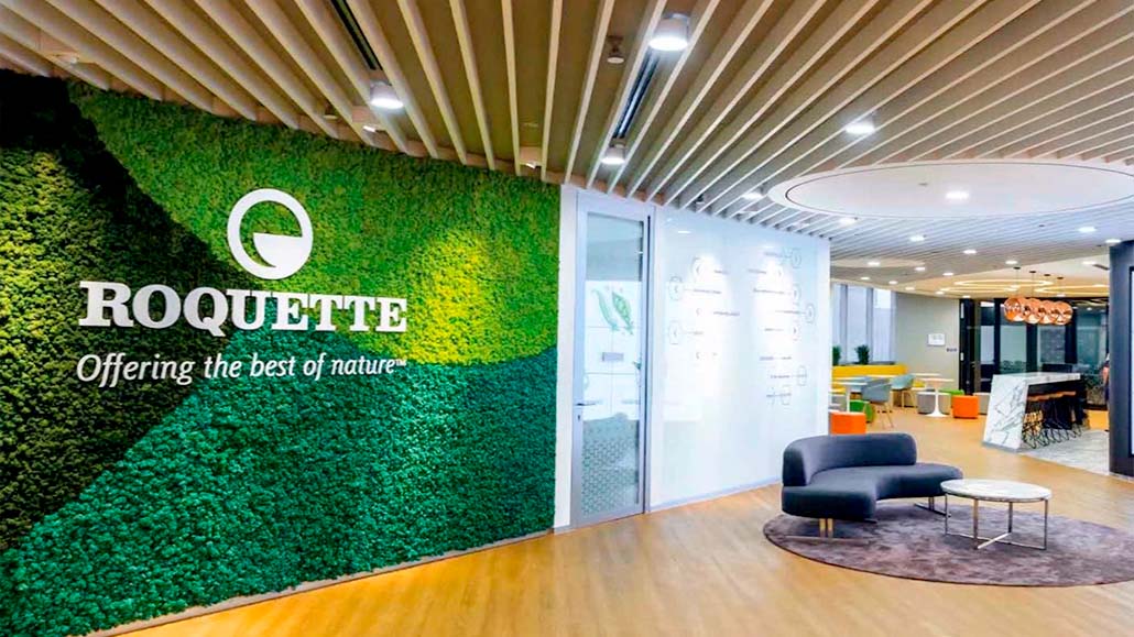 Tipografías corpóreas